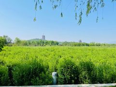 -永定河休闲森林公园