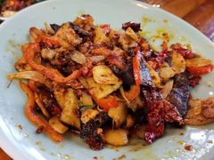 -柴窝堡22号辣子鸡·传承新疆菜