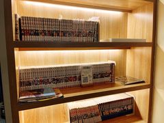-滚猫咖啡·猫咖·猫友好撸猫(未来城店)
