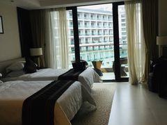 -河源万绿湖美思威尔顿酒店