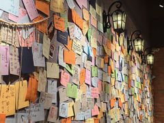 -番茄口袋(上海普陀区环球港店)