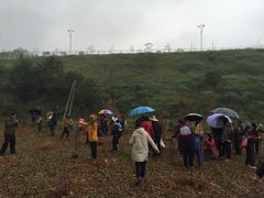 -南宁良凤江国家森林公园