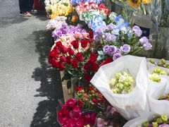 -循礼门鲜花花市(武汉循礼门店)