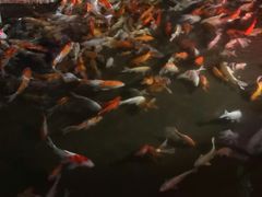 -泉城欧乐堡海洋极地世界