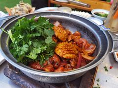 -禄婶鸡煲·打边炉