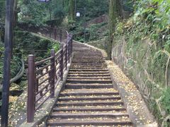 -都江堰普照寺