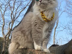 -星巴克(中远两湾城店)