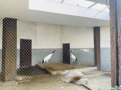 -南昌动物园