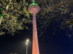 -辽宁电视塔