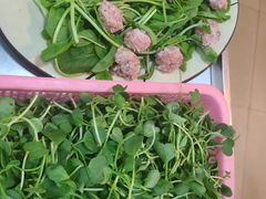 -华哥新鲜猪精品美食
