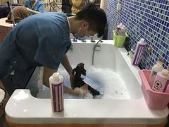 -安安宠医宠物医院·异宠·犬猫内科(岳阳分院)