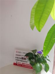 -痘博士烟台·全国连锁祛痘机构