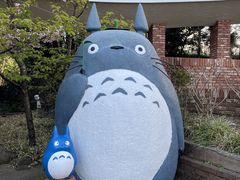 -伊豆泰迪熊博物馆
