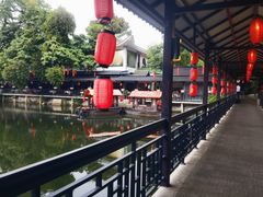 -侨美·唐荔园·40年地道粤菜