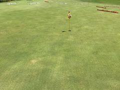 -金鸡湖高尔夫会员专属俱乐部