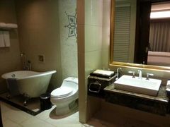 -圣爵菲斯大酒店(长沙世界之窗店)