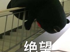 -华莱士·全鸡汉堡(渔港店)