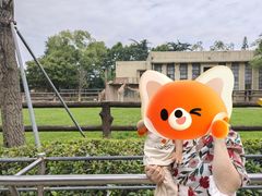 -成都动物园