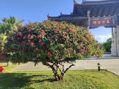 -建水文庙