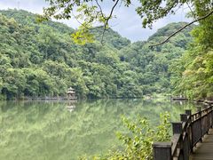 -江西阳明山国家森林公园