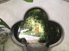 -水绘园