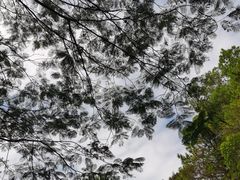 -红花湖景区