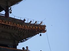 -北陵公园