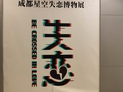 -成都失恋馆