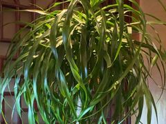 -润生源足道·SPA(个园店)