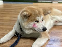 -YCHL Studios健身工作室(市二宫店)