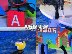 -成都浩海立方海洋公园