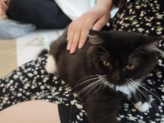 -共舞时光猫咖·狗咖(新街口店)