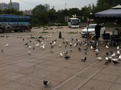 -陕西自然博物馆