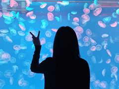 -多彩贵州城极地海洋世界