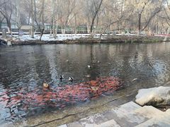 -水磨沟公园