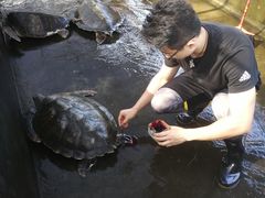 -广东惠东海龟国家级自然保护区