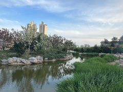 -绿岛公园(滨海新区)