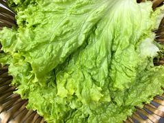 包肉叶生菜-小米烤肉-泥炉炭烤(常营店)