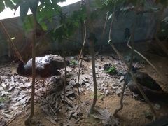 iphone_upload_pic-苏州环秀晓筑养生度假村
