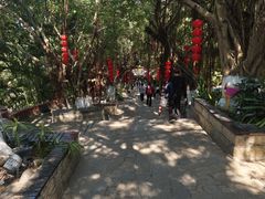 -胡里山炮台