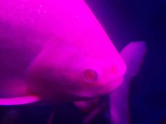 -泉州海丝野生动物世界