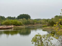 -东郊湿地公园
