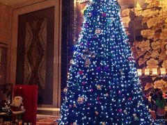 -长沙富力万达文华酒店