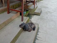-海窝子古镇