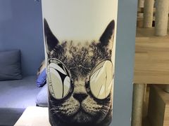 -喵的天空名猫咖啡馆·撸猫·猫舍·用品