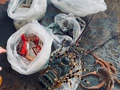 -新鸿港水果市场