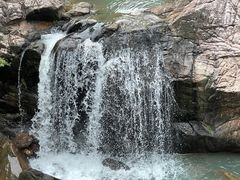 -广州白江湖森林公园