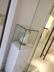 -UP&UP·半永久眉毛眼线机器野生眉