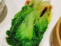 白灼生菜-金鼎轩(亚运村店)
