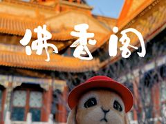 -颐和园